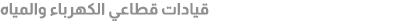 قيادات قطاعي الكهرباء والمياه 