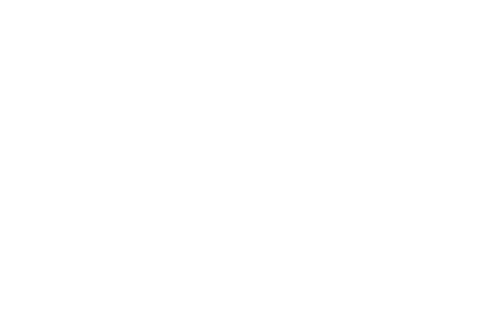 قيام الاتحاد.. النقلة النوعية في قطاعي الطاقة والمياه