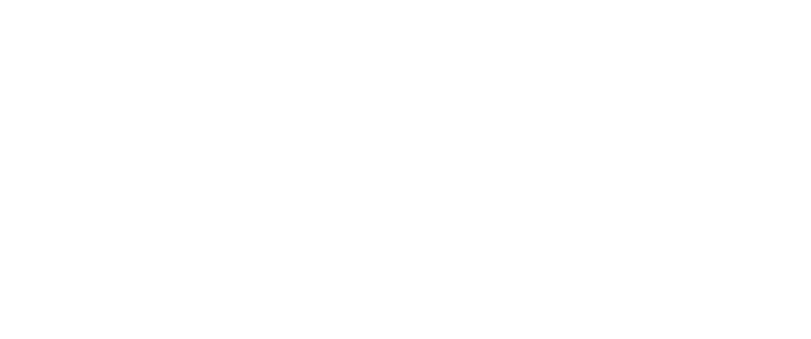 Leadership in the Electricity and Water Sectors